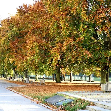 Apartament 01 Centrum - Mieszkanie Dla 2 Os